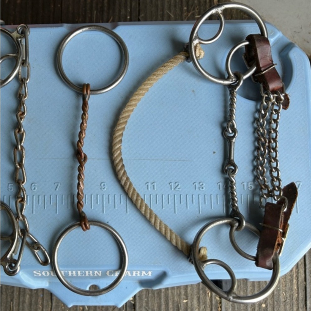 Snaffle and Combo Bit